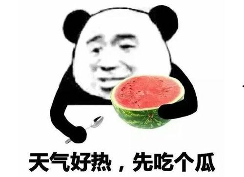 表情吃瓜是啥意思啊,表情吃瓜的趣味内涵